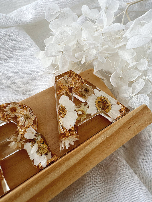 The Mini Letters | FIELD DAY