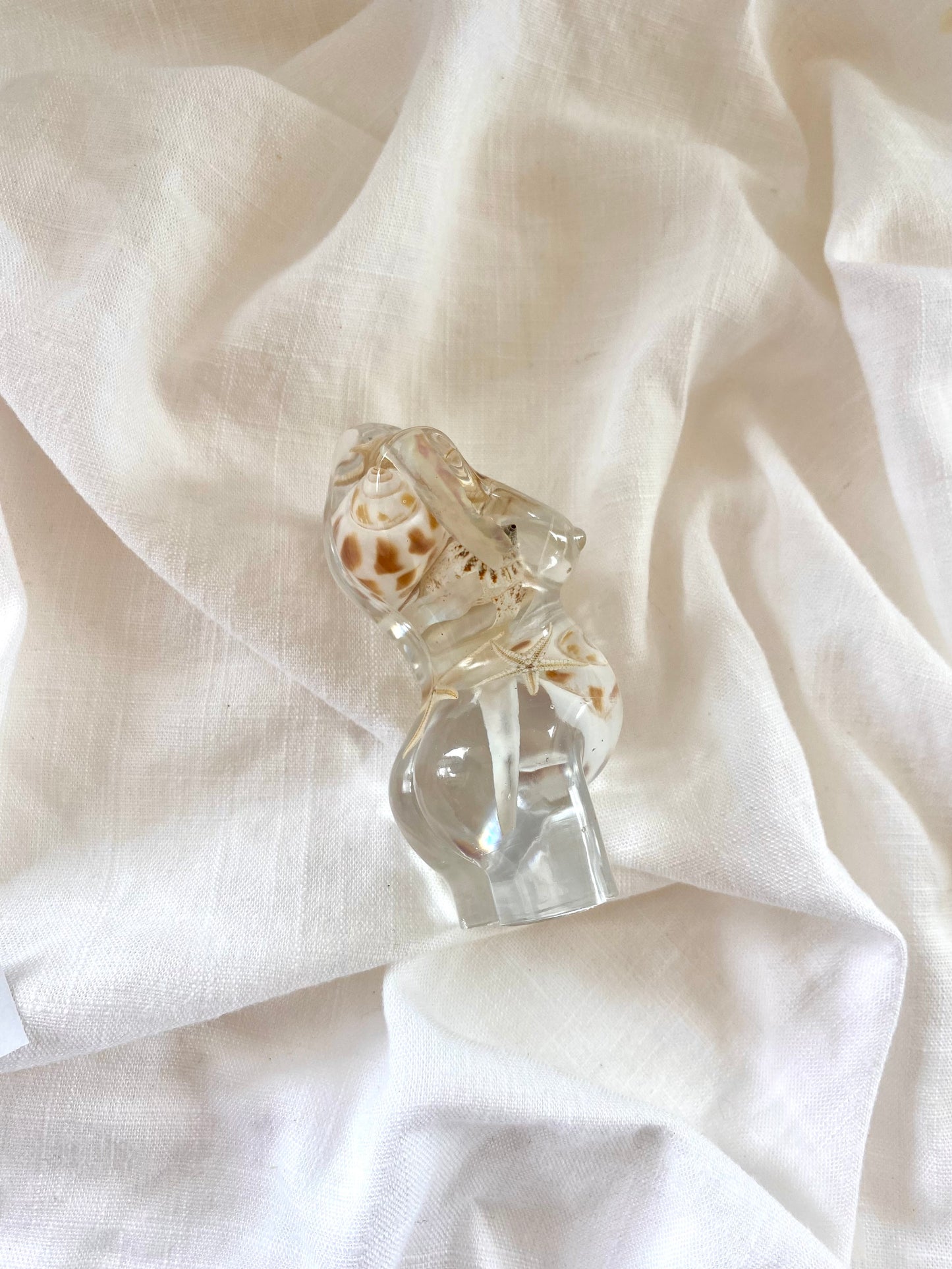 Hapū Māmā | Shoreline (Seconds - 001)