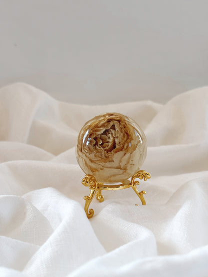 Forever Rose