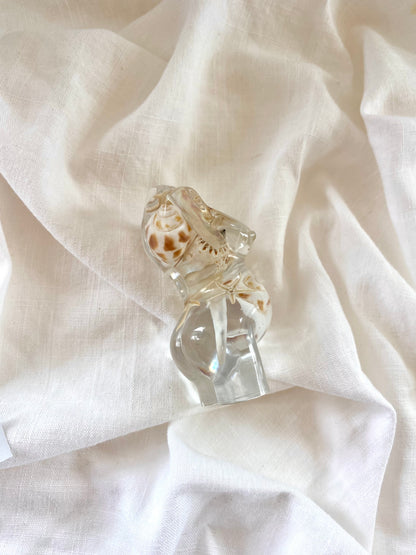 Hapū Māmā | Shoreline (Seconds - 001)