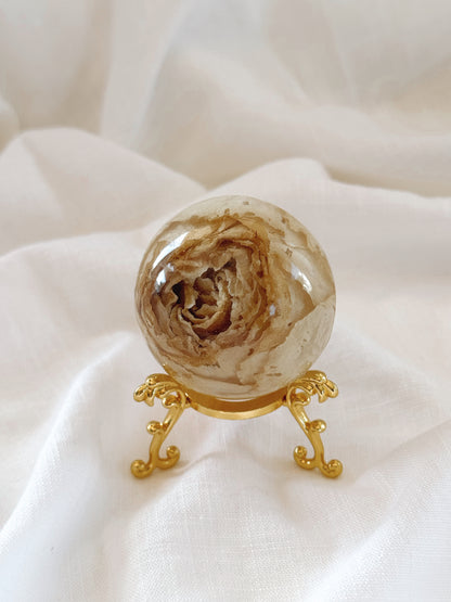 Forever Rose