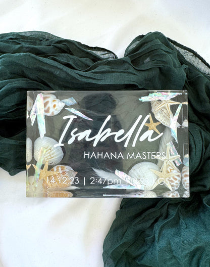 The Birth Plaque | SHORELINE